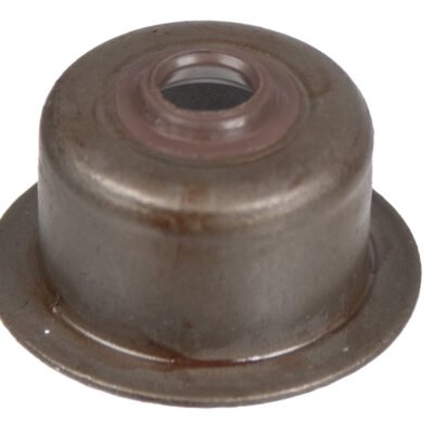 Vožtuvo koto riebokšlis Cedrus varikliui Y170V