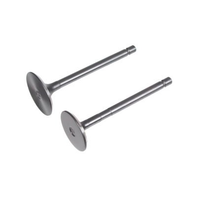 Loncin LCD186F / LCD460FD variklio vožtuvų komplektas – originali dalis