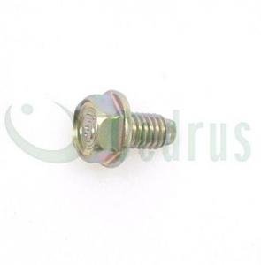 Starterio dangtelio varžtas Honda GX160 originali dalis