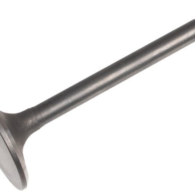 Įsiurbimo vožtuvas Cedrus dyzeliniam generatoriui CEDDG8.5E-3F