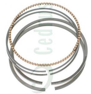 Stūmoklio žiedai Briggs & Stratton Quantum