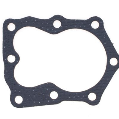 Cilindro galvutės tarpinė Briggs & Stratton Quantum seno tipo