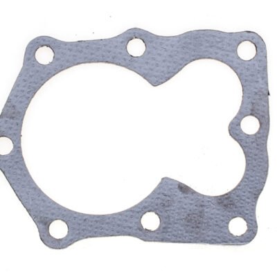 Cilindro galvutės tarpinė Briggs & Stratton Quantum naujo tipo