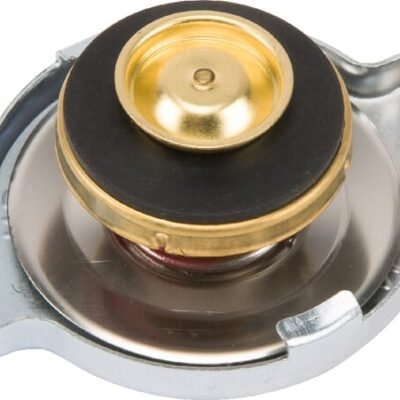 Radiatoriaus dangtelis 968816M2