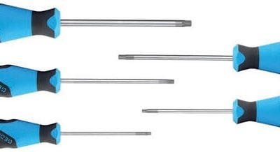 5 dalių atsuktuvų rinkinys įleistoms Torx varžtų galvutėms su vedikliu 2163 TXB SC2163TXB05