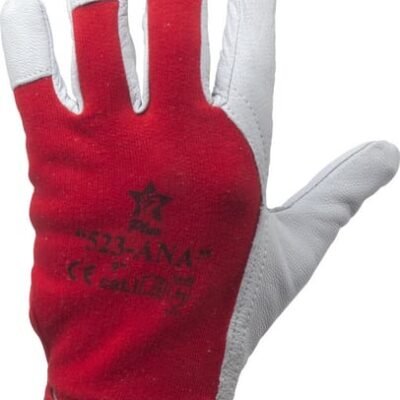 Pirštinės 19501105508