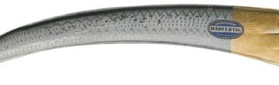 Dalgis Friedrichstal ES54083