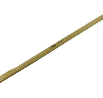 Kaplio kotas ES14116