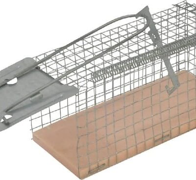 Live catch rat and mouse trap VV299618