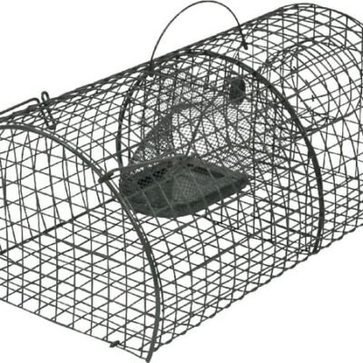 Live catch rat trap VV299620