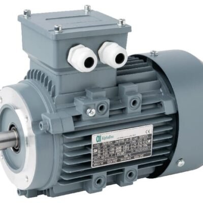 Elektrinis variklis 15602