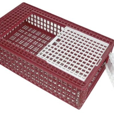 Poultry transport box VV73100