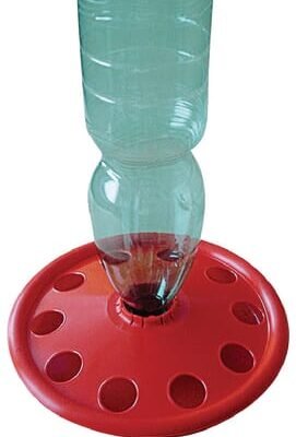 Viščiukų girdykla 700137A