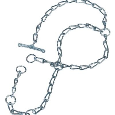 Vedimo grandinė TZ2480