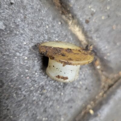 STIHL MS260 Amortizatoriaus dangtelis