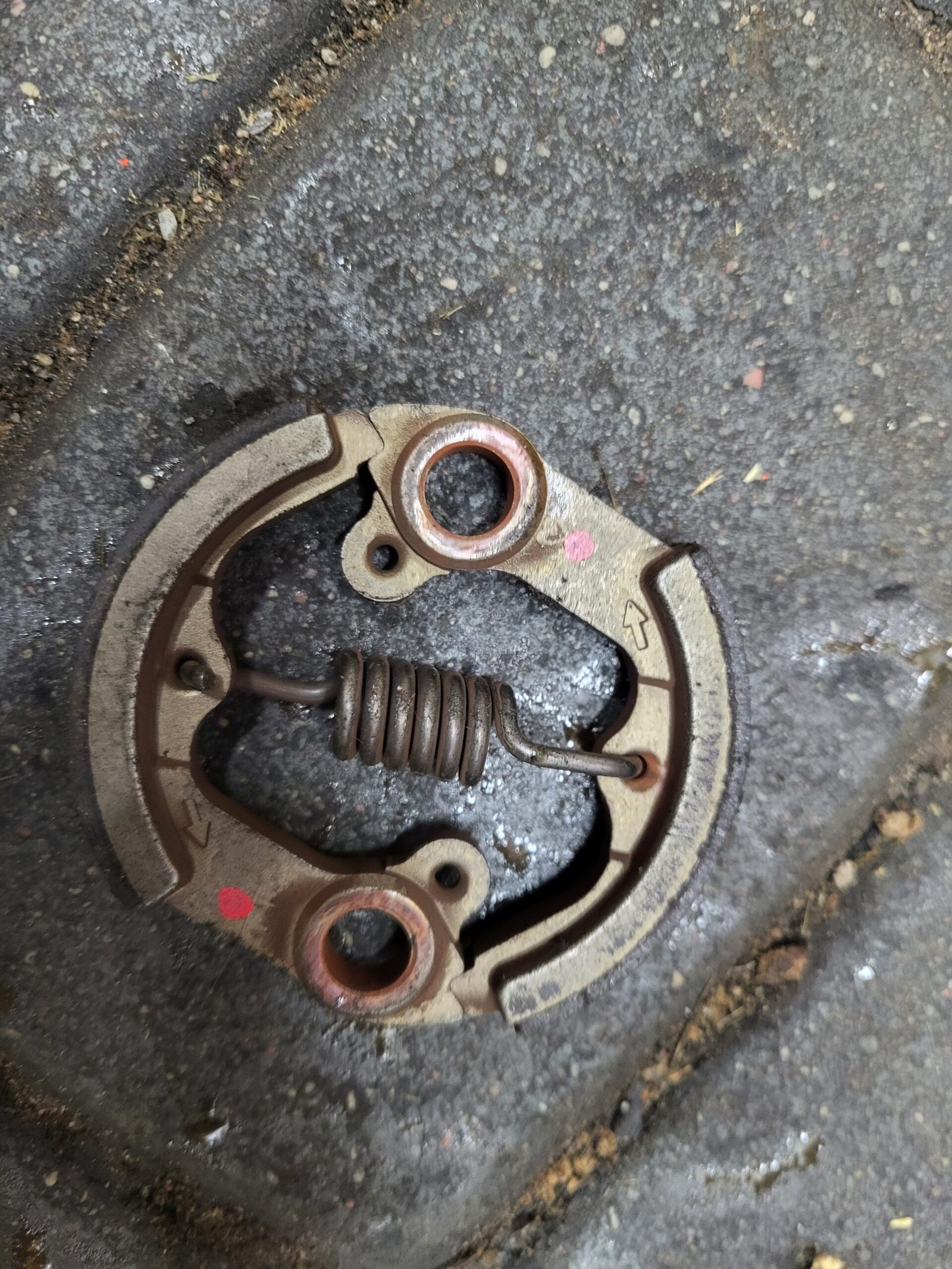 Husqvarna 553RS Sankaba