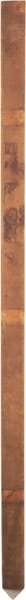 Medinis aptvaro kuolas 95 cm x 26 mm, rudas Gallagher 007618GAL