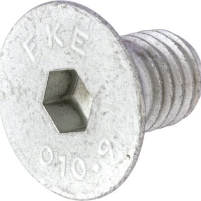 Įleidžiamas varžtas 10x16 10.9 9040433