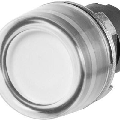 Mygtukas su guminiu dangteliu 020PICGB