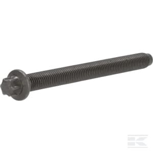 Cilindro galvutės varžtas 4250441