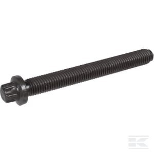 Galvutės varžtas 4251251