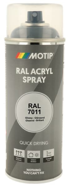 RAL 7011 aerozolinis dažas, geležies pilka 7019
