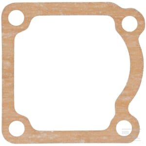 Termostato tarpinė 1000200061