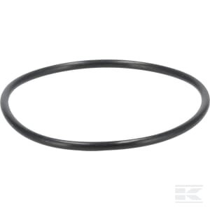 O-žiedas 1000224919