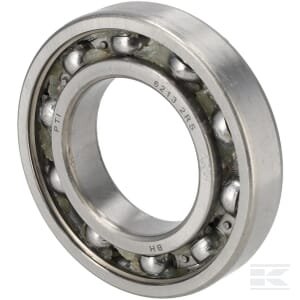 Guolis Weidemann 1000225253