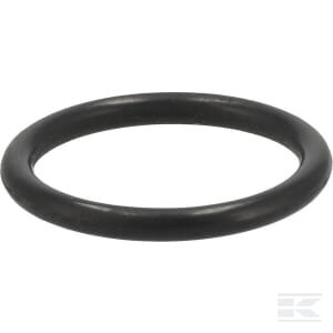 Įpurškimo vožtuvo sandariklis 1000294965