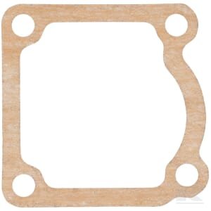 Termostato tarpinė 1000308145