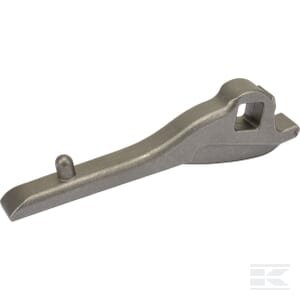 Liežuvėlis 107581000