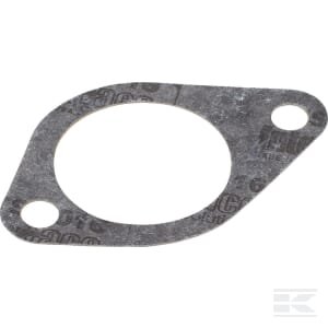 Termostato korpuso tarpinė 132000060720