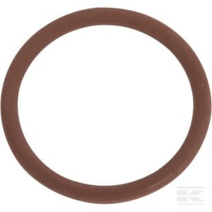 O - žiedas 17282381