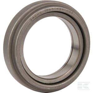 Išminamasis guolis 1863837002