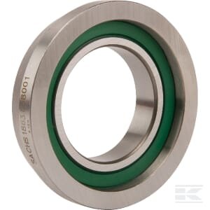 Išminamasis guolis 1863838001