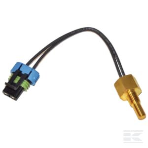 Oro–oro temperatūros daviklis 194346A1