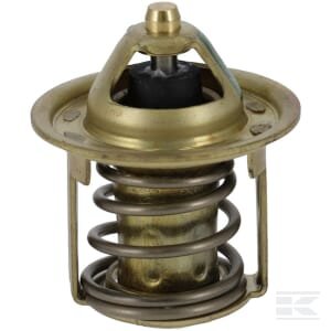 Termostatas 1E39973012