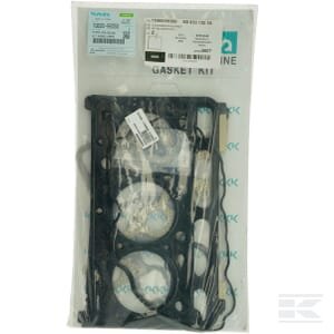 Variklio tarpinių komplektas 1G60099350