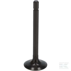 Įsiurbimo vožtuvas 1G67313112