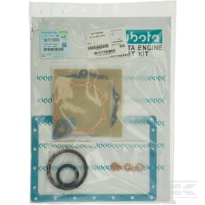 Variklio tarpinių komplektas 1G87399366