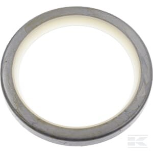 Sandariklis 21W7041440