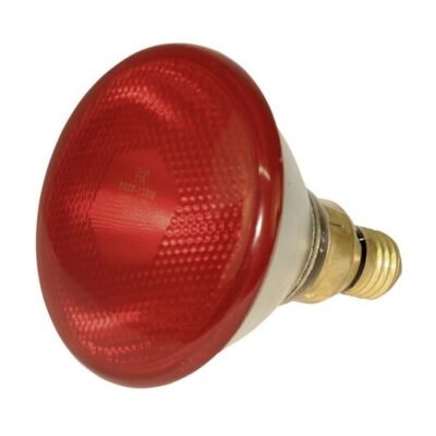 Econ, infrared lamp 175W raudonas Kerbl – 22247KER