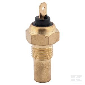 Vandens temperatūros daviklis 60115705