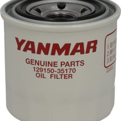 Filtras Landini – 3678034M3