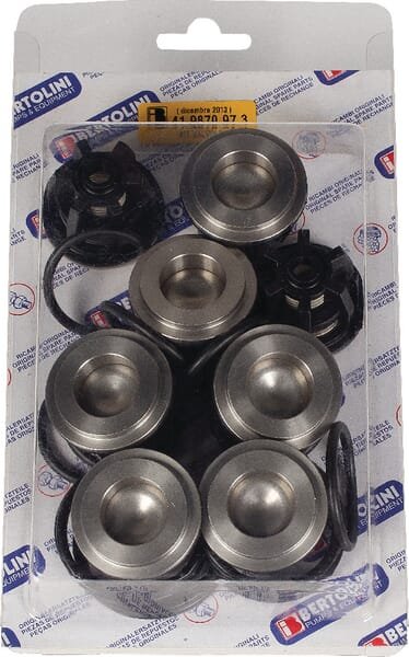 Atbulinių vožtuvų + O-žiedų komplektas 141 19826973 - Image 2