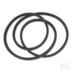 Variklio diržas 3652973