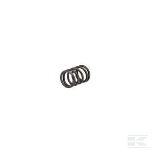 Vožtuvo spyruoklė 4812347FPT