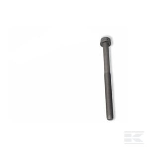 Cilindro galvutės varžtas 4891025FPT