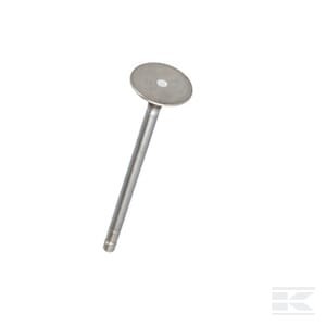 Išmetimo vožtuvas 4895051FPT